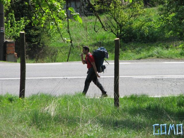 IMG_8587
