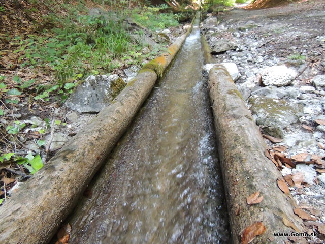 DSCN4650