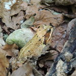 DSCN4655