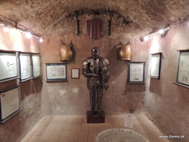 DSCN5488