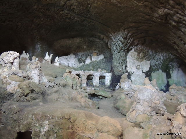 DSCN5549