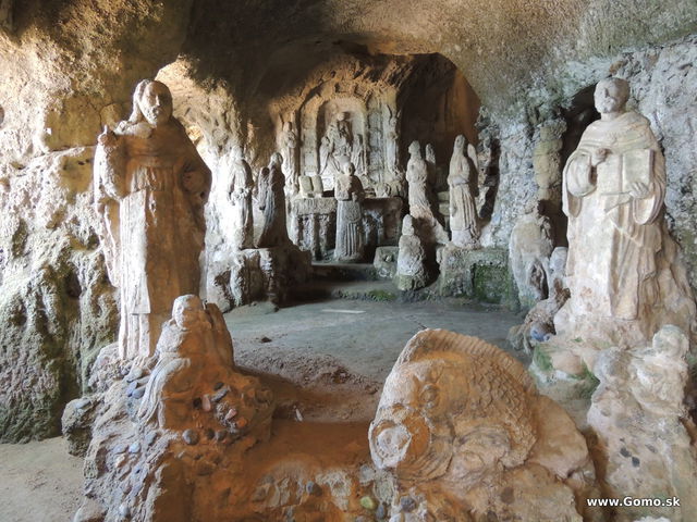 DSCN5553