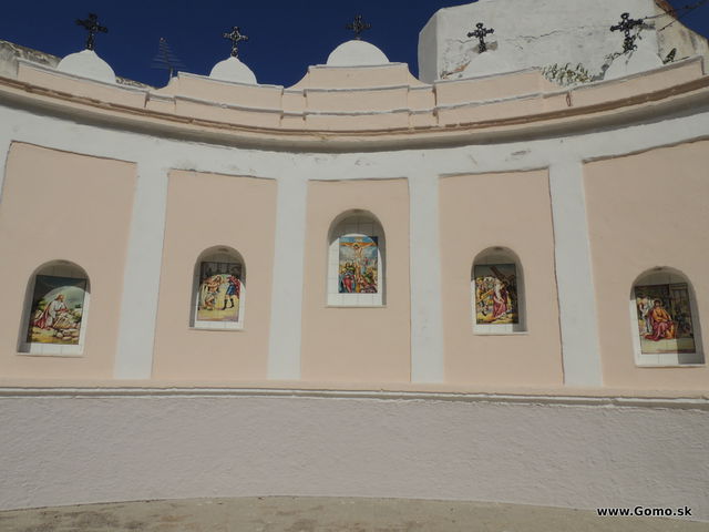DSCN6131
