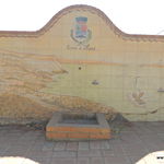 DSCN6350