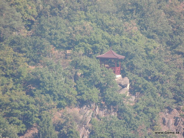 DSCN6573