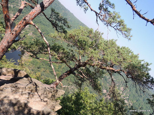 DSCN6579