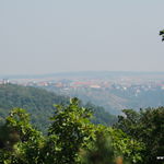 DSCN6583