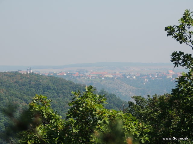 DSCN6583