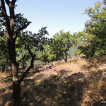 DSCN6591