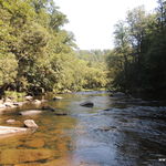 DSCN6618