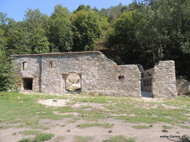 DSCN6627
