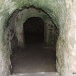DSCN6634