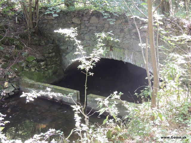 DSCN6646
