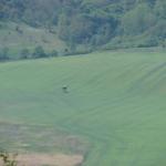 IMG_8710