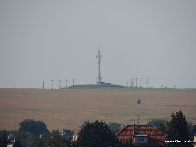 DSCN6790