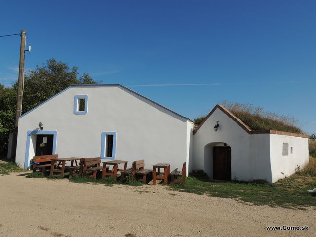 DSCN6827