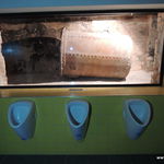 DSCN3478