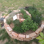 DSCN3513