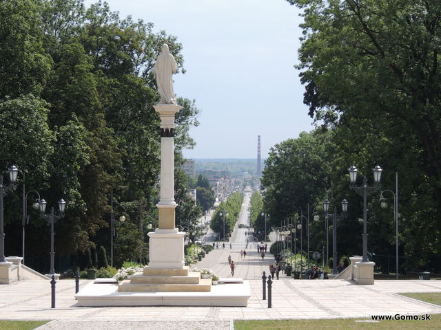 DSCN3877
