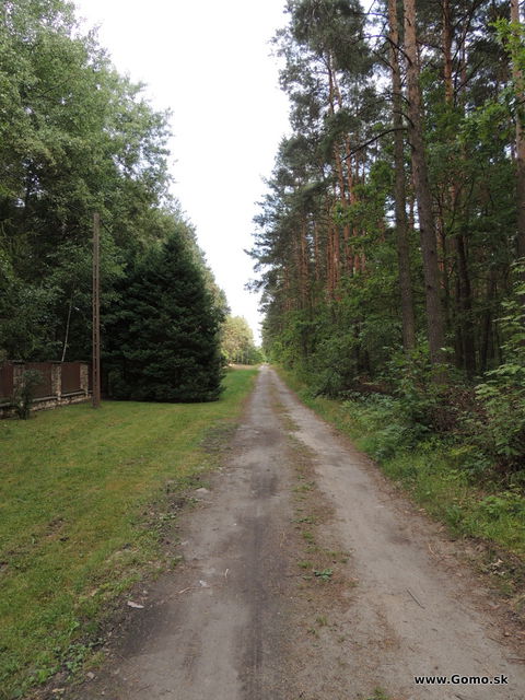 DSCN3908