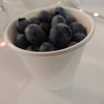 DSCN4095