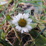 DSCN9443