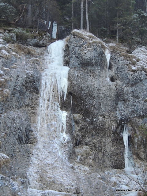 DSCN9782