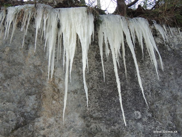 DSCN9793