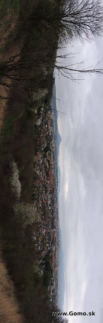 DSCN1603