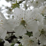 DSCN1606