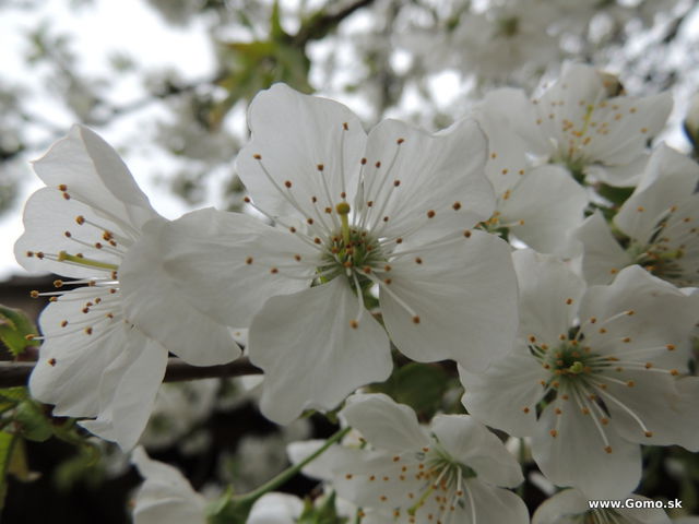 DSCN1606