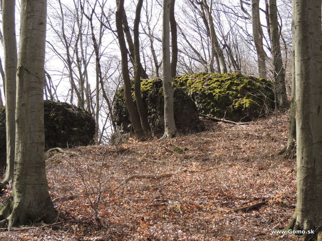 DSCN1492