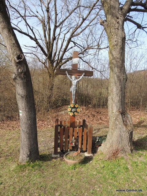 DSCN1512