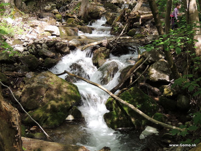 DSCN1924