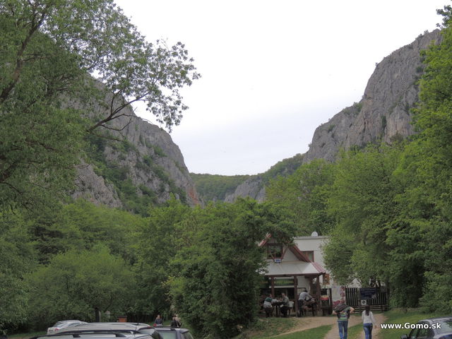 DSCN2000