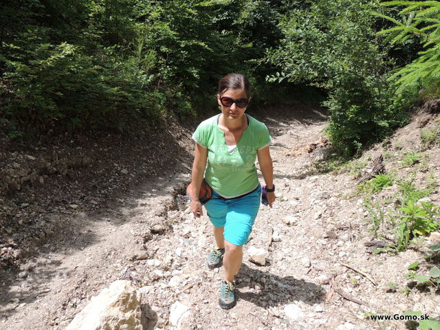 DSCN3633