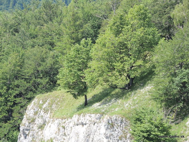 DSCN3659