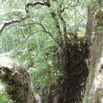 DSCN3679