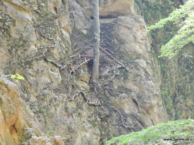 DSCN3695