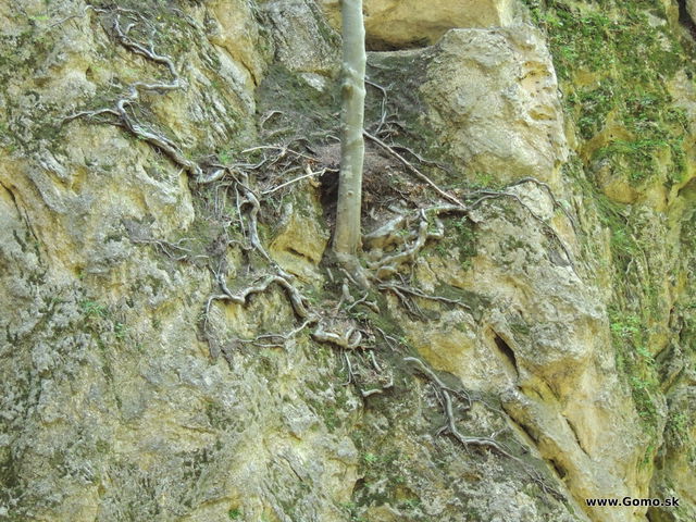 DSCN3700