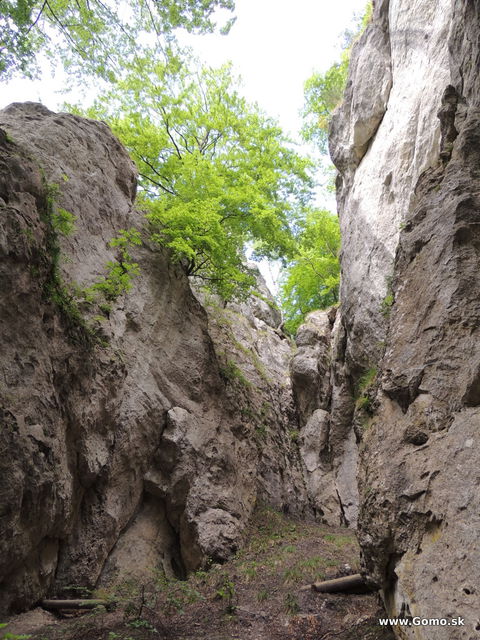 DSCN3703