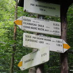 DSCN3708