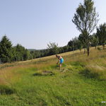 DSCN3733