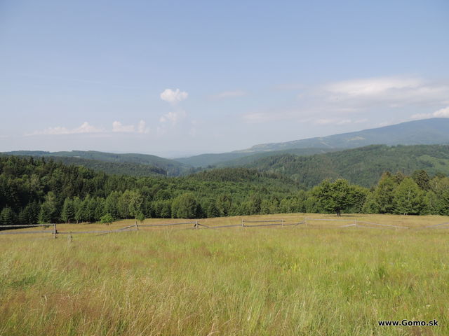 DSCN3736