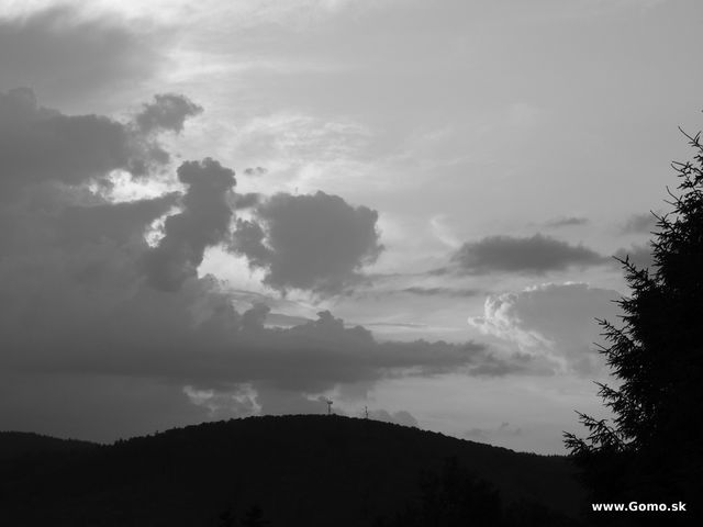 DSCN3811