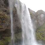 DSCN2229