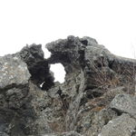 DSCN2665