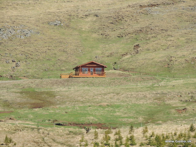 DSCN2981