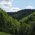 IMG_9041