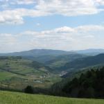 IMG_9043